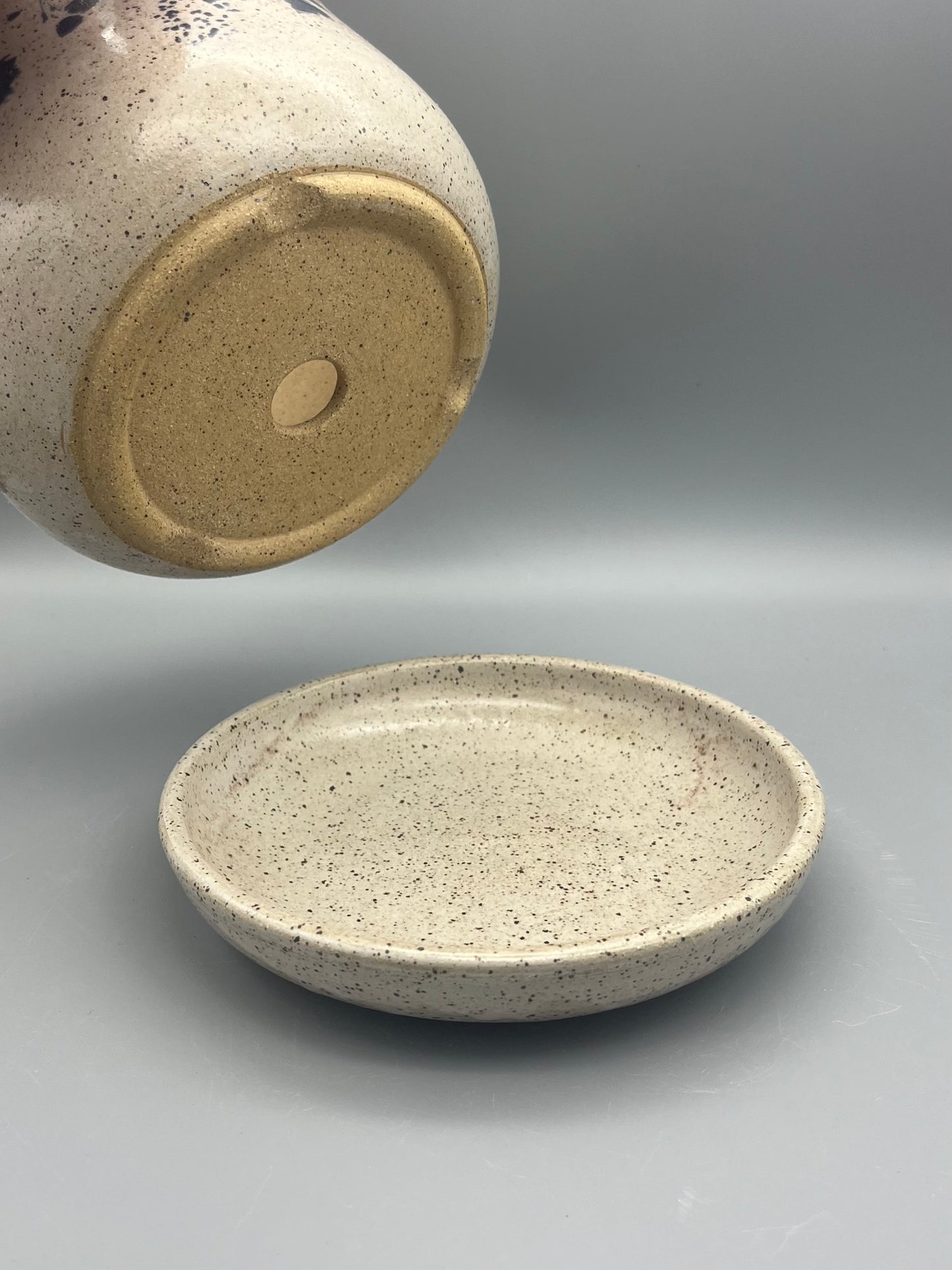 Planter - Mixed Botanicals