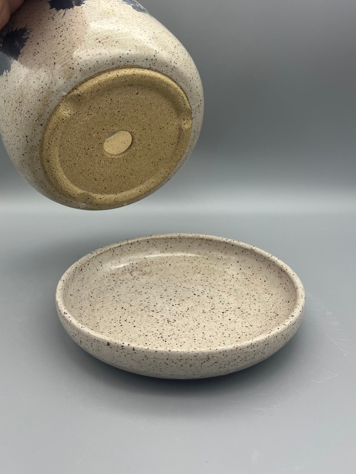 Planter - Nigella with Stems