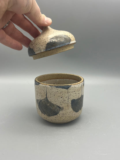 Jar - Ginkgo 01