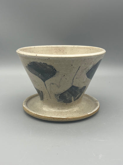 Pour Over - Ginkgo 02