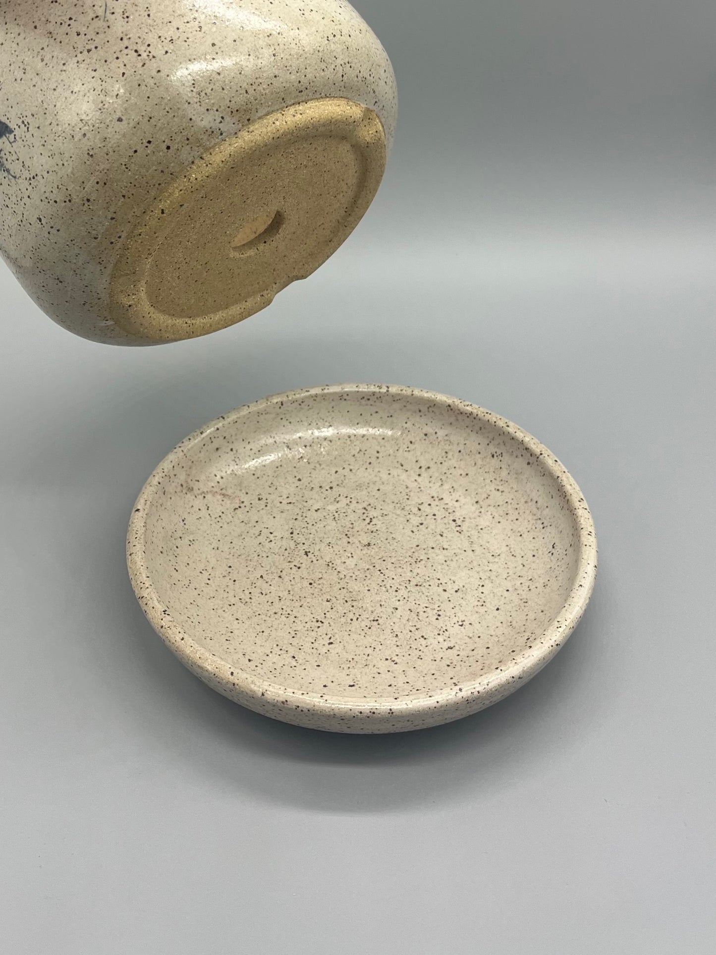 Planter - Nigella with Stems 2