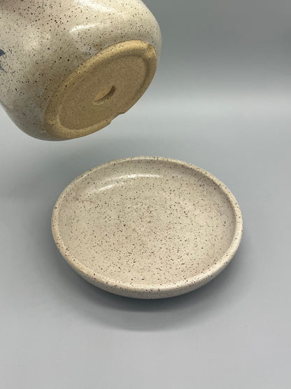 Planter - Nigella with Stems 2